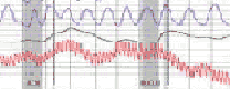 accuracy of a polygraph test in Puerto Rico